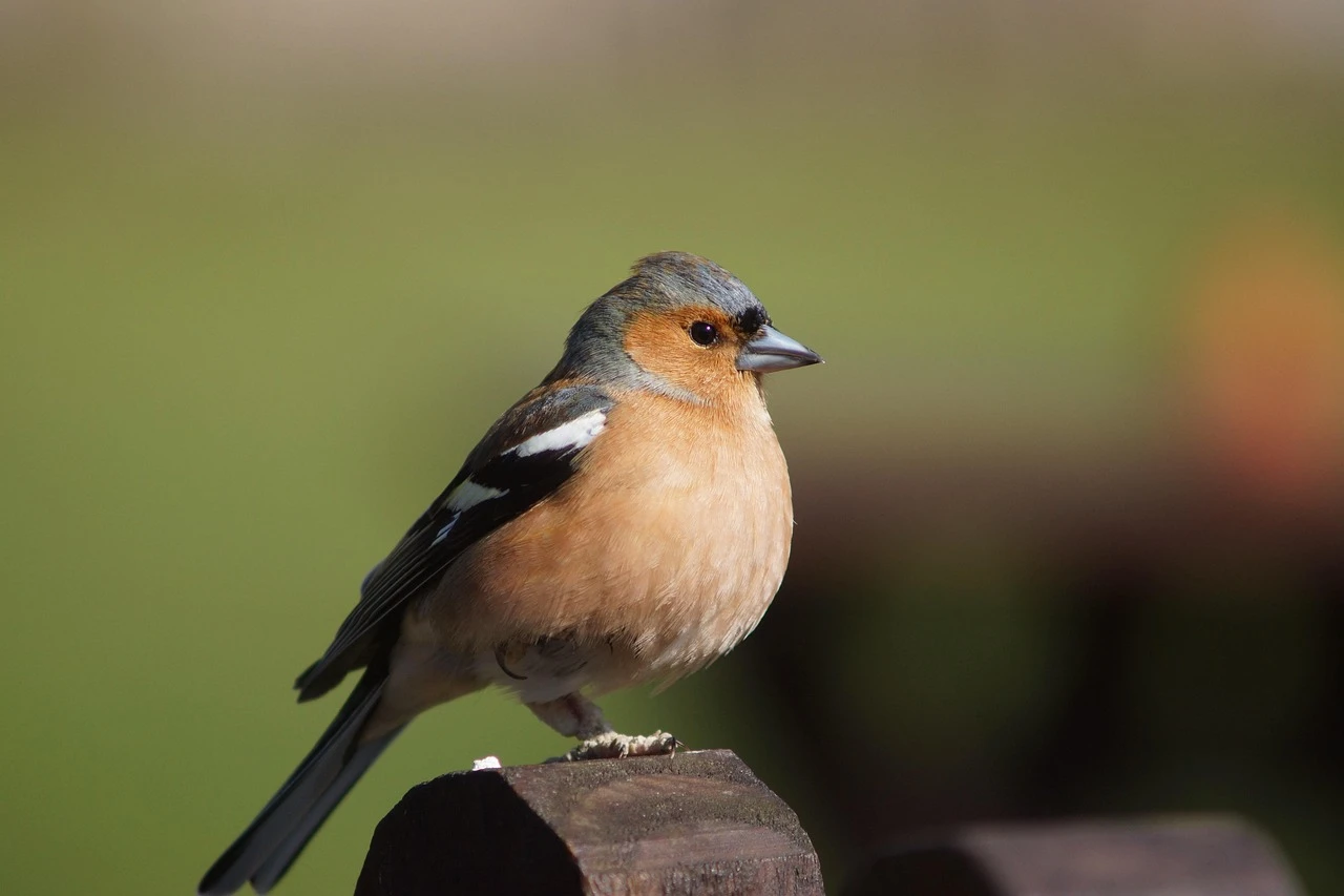 SILLÒN LH UNDULHAR SYSTEM® (LEVANTAPERSONAS)