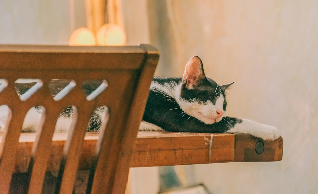 ALMOHADA LH BALANCE ION PROTECT