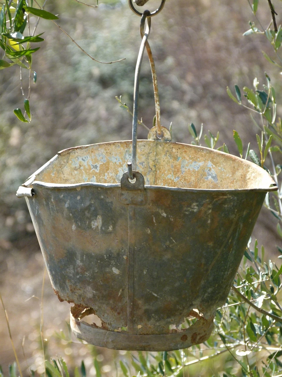 LH ACQUA 718